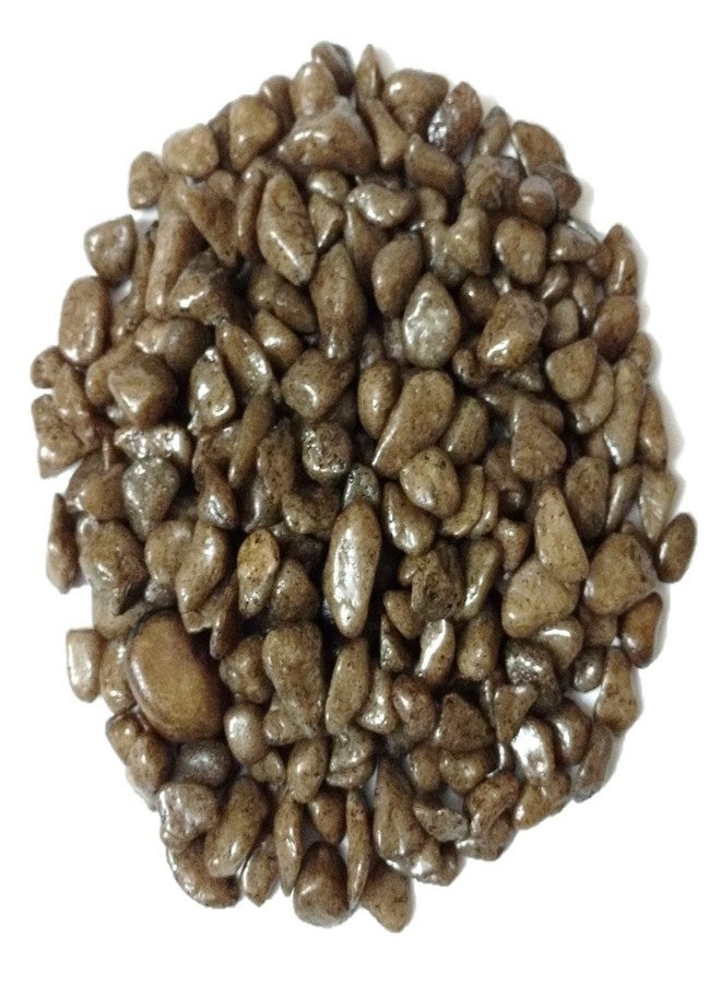 دي أس18 حصى/أحجار بنية اللون من DS لأحواض السمك والمزهريات والحدائق، 475 غرام - Image 2